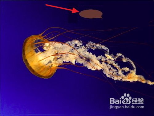 用picpick软件去除图片不一致颜色