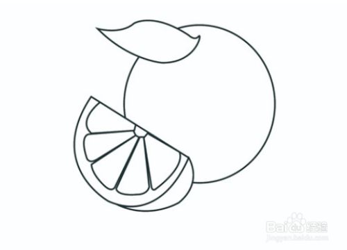 怎么画柚子好看