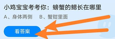 螃蟹的鳃长在哪里？