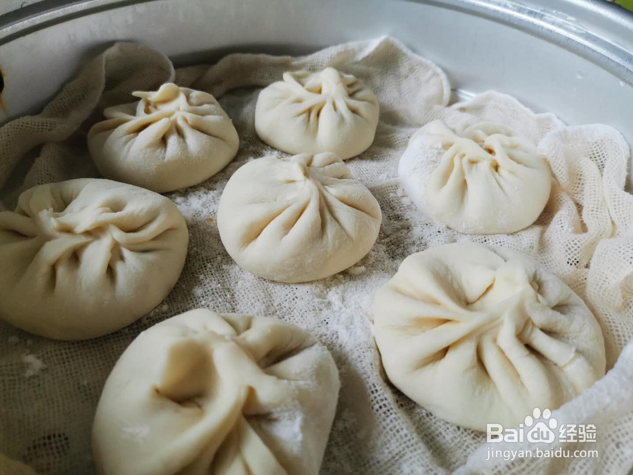 鲜肉包子的做法