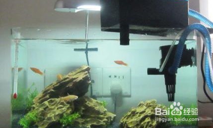 水族箱过滤系统的种类