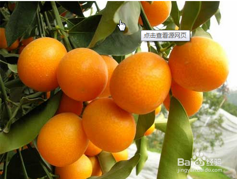 哪些食物不能放在一起吃