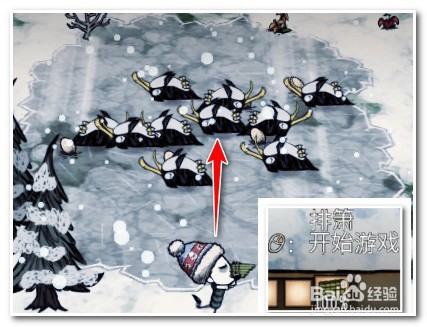 饥荒企鹅蛋怎么偷