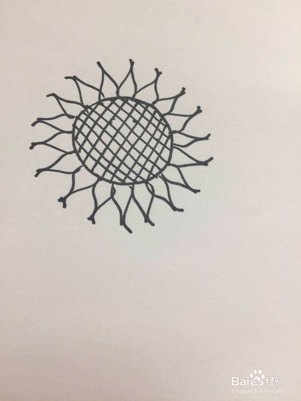 向日葵的简笔画画法