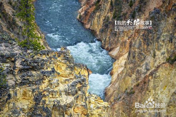 让我来告诉你，黄石大峡谷到底有多美！