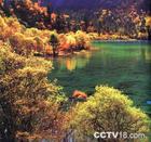 九寨沟旅游报价的情况