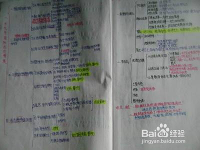 高中政治怎样学效果好