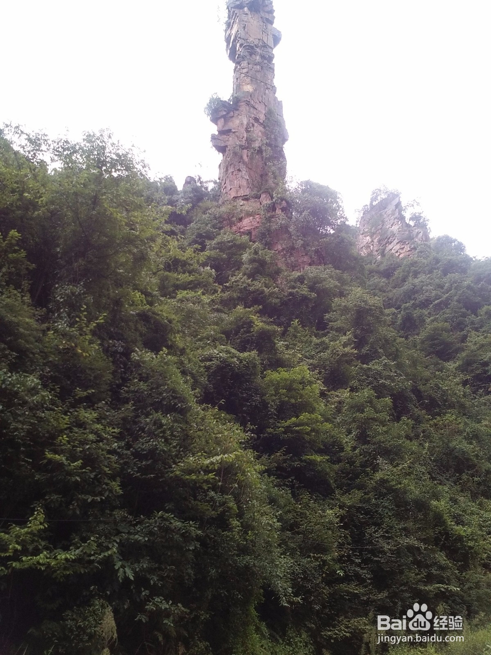 田云青老师旅游景观册编辑方法