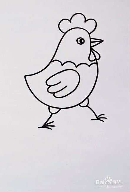 画画鸡简单图片