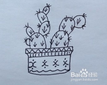 简笔画:仙人掌盆景