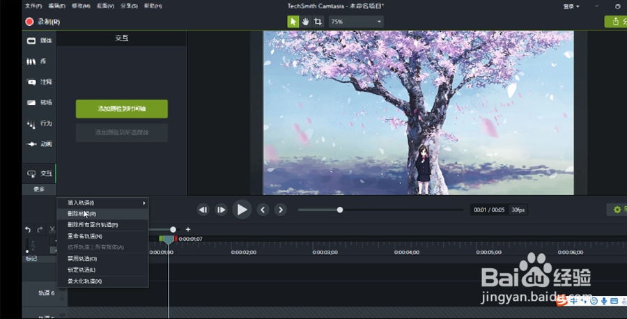 在camtasia2018中如何禁用和删除轨道？