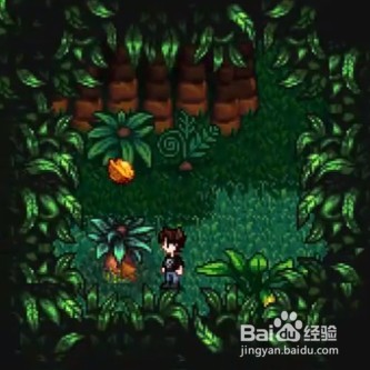 星露谷物语中金核桃如何获取