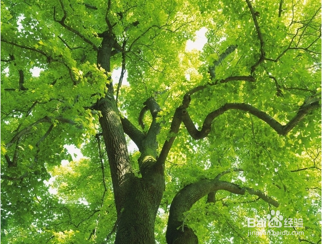 春季健康养生原则