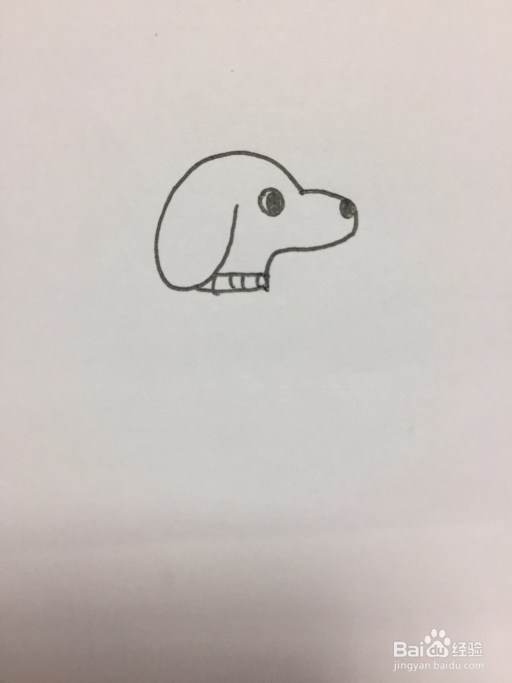 狗狗的简笔画画法
