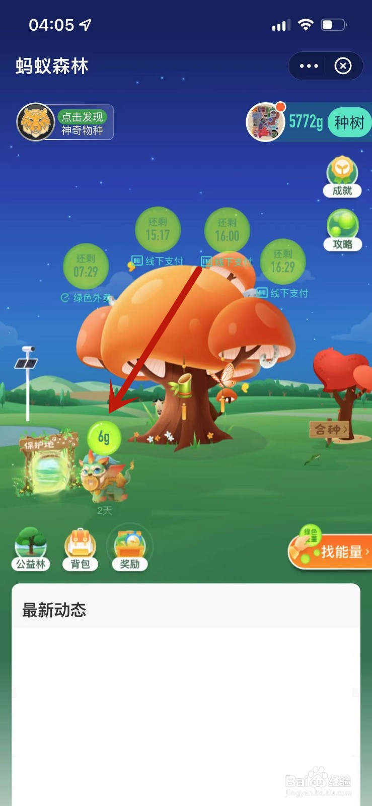 蚂蚁森林貔貅有什么作用