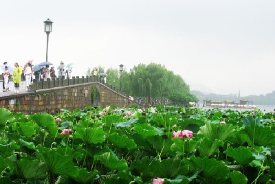 乌镇旅游之交通攻略