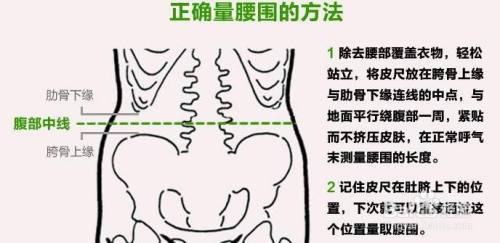 腰围怎么测量怎么算 百度经验