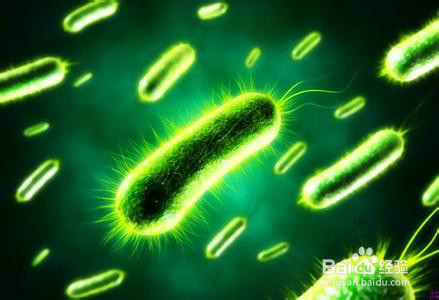 为什么夏天，秋天东西吃多了肚子疼？