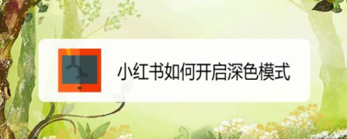 小红书如何开启深色模式