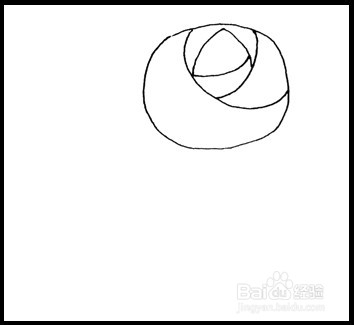 怎样画简笔画（花卉）：[3]玫瑰2