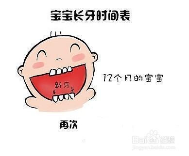 新手父母必看：宝宝长牙的时间及顺序