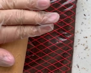 两种口味的木糠杯的做法