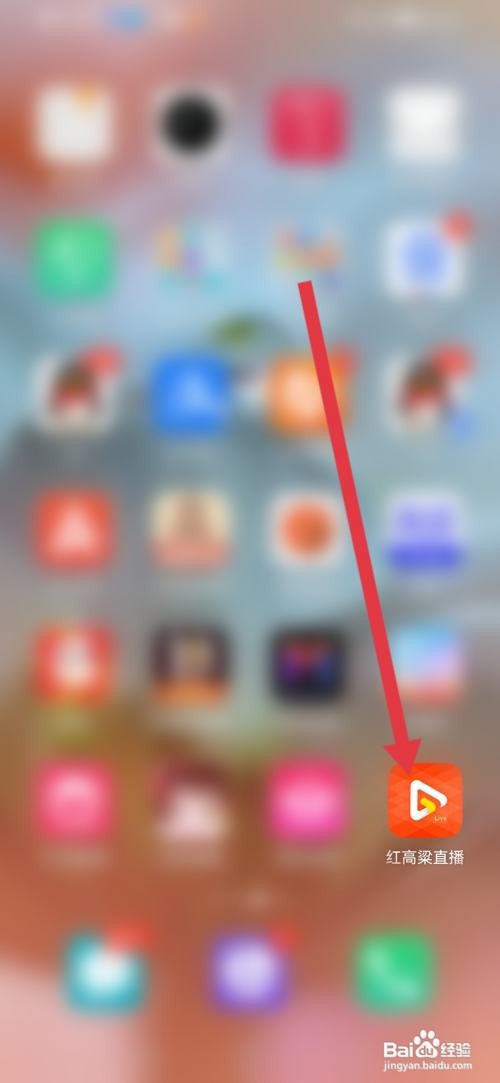 如何使用红高粱直播APP进行实名认证？