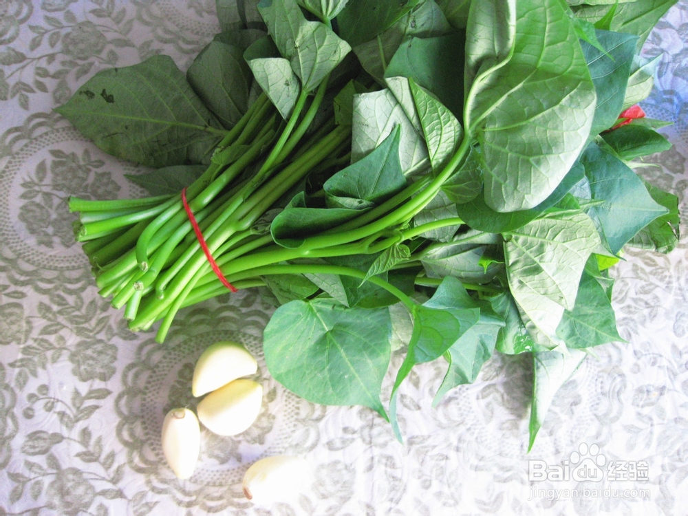 简单家常菜——蒜蓉红薯尖