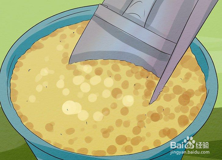 如何避免疯牛病