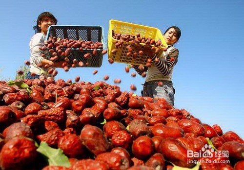 怎么做红枣批发