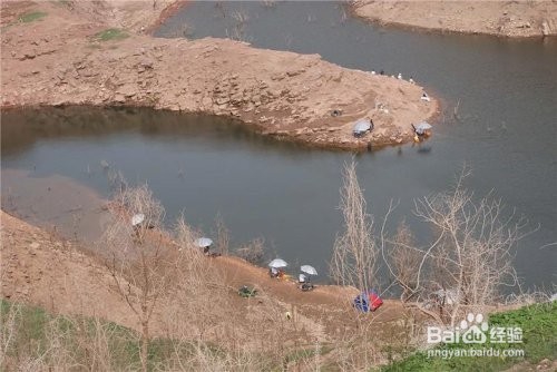 如何迅速学会钓鱼