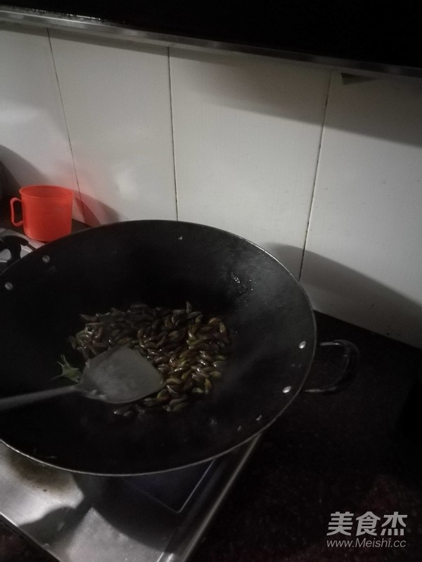 金不换炒薄壳