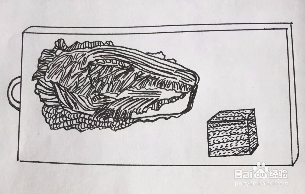 茉莉手绘之白菜与豆腐