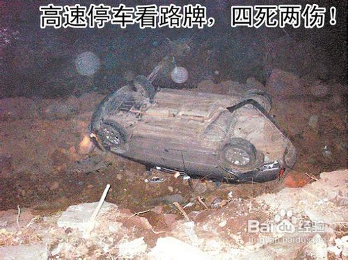 自驾游达人震撼分享,安全驾驶顶尖绝技五