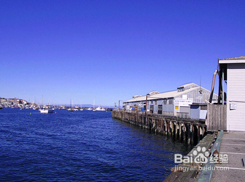 黄石公园、羚羊彩穴、太浩湖旅游攻略