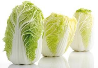 白菜的选购技巧