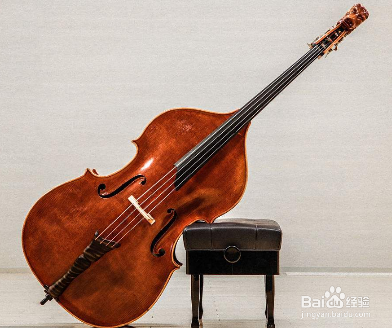 低音提琴怎么演奏