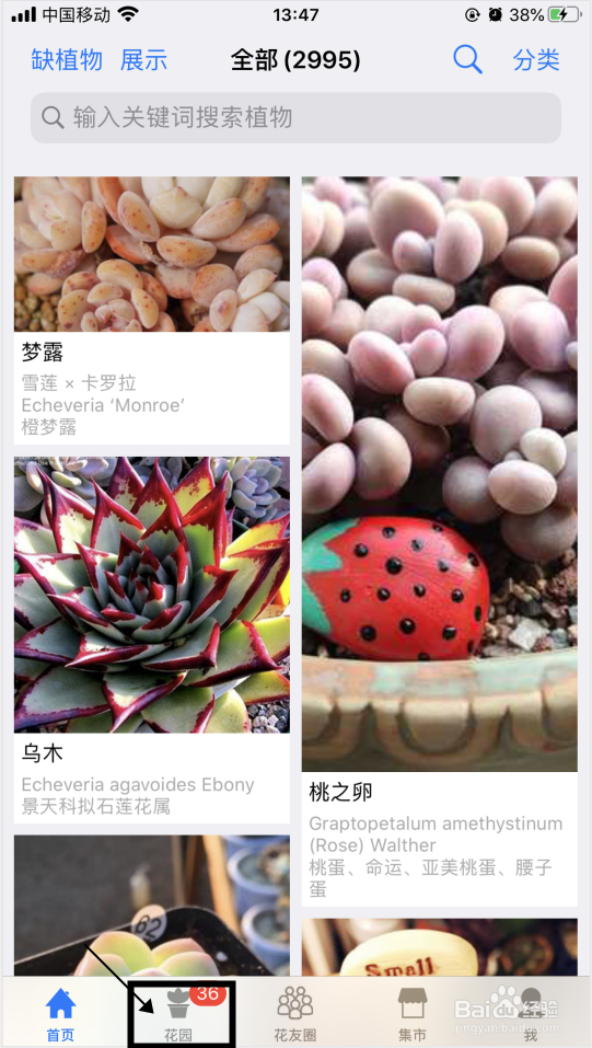 如何在爱花草App的花园中删除植物