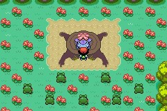 口袋妖怪圣灰攻略图片5