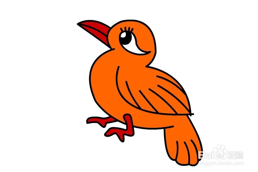画眉鸟怎么画
