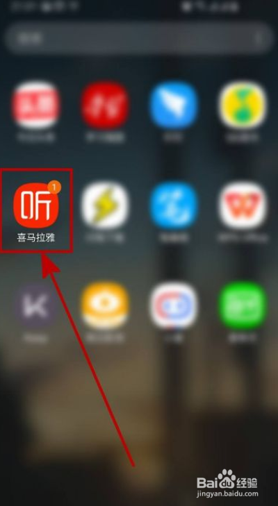 喜马拉雅如何进行残疾人认证