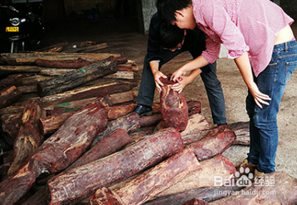 紫檀木雕摆件要如何养护