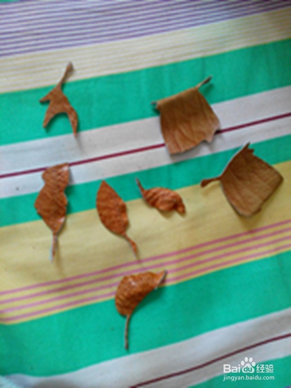 旧皮包改造——系列作品