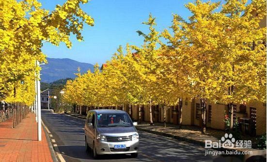 山王坪旅游攻略