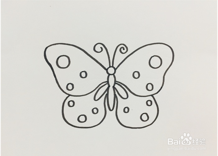 蝴蝶的花纹怎么画