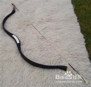 弓箭零基础,该怎么开始学习传统弓?