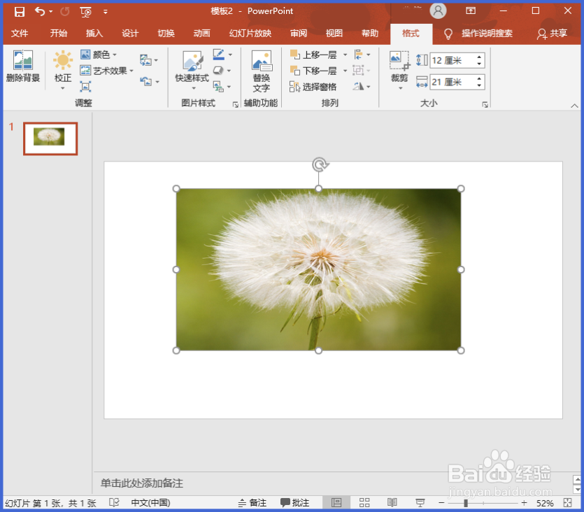 在PPT中如何用表格工具制作多格创意拼图效果