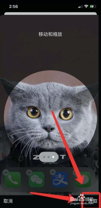 苹果手机怎么换头像？