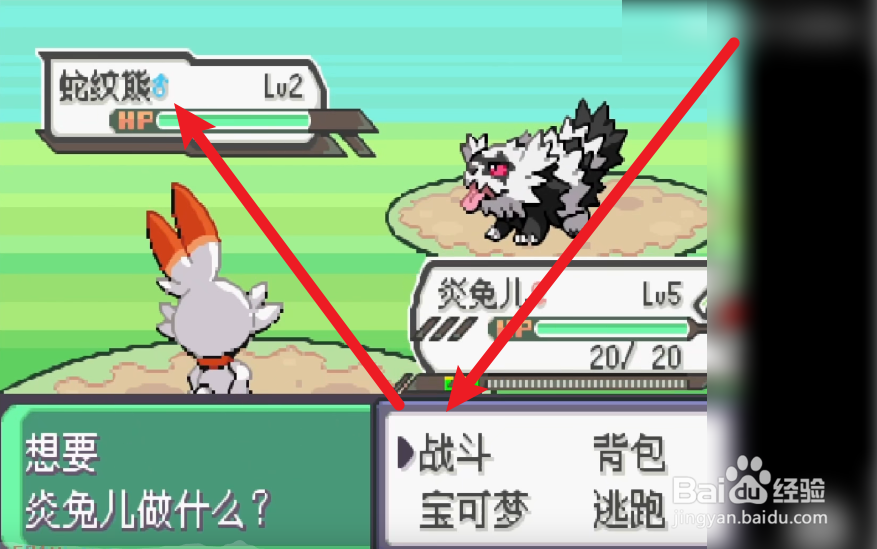 究极绿宝石5一周目攻略