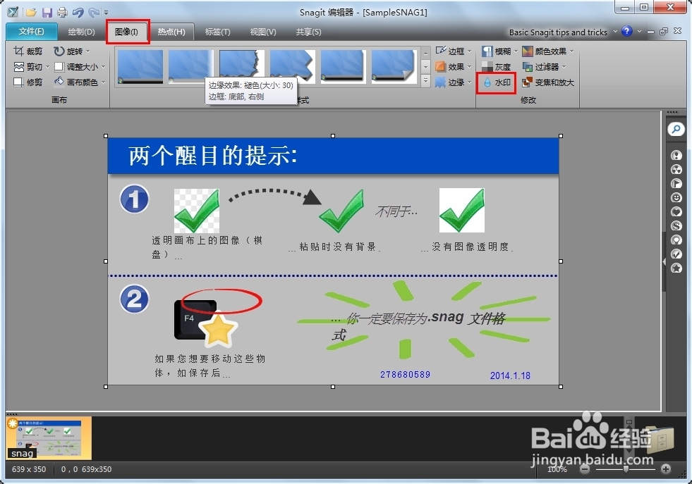snagit11教程篇：[3]图片添加水印